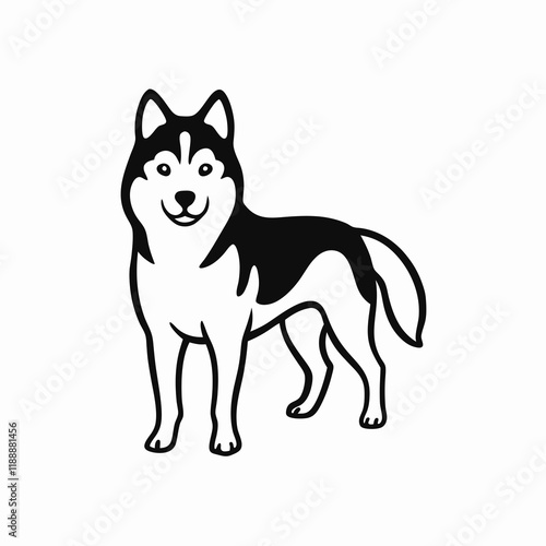 Siberian husky dog standing proudly on a white background, copy space