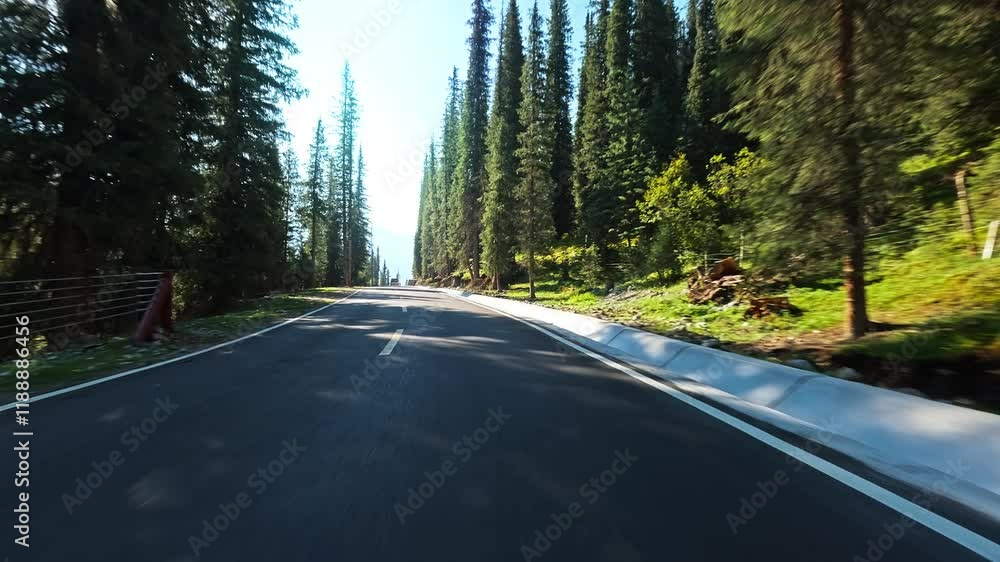 Driving car on a mountain road. Green forest on both sides of the road. Driving car on a mountain road. Green forest on both sides of the road.