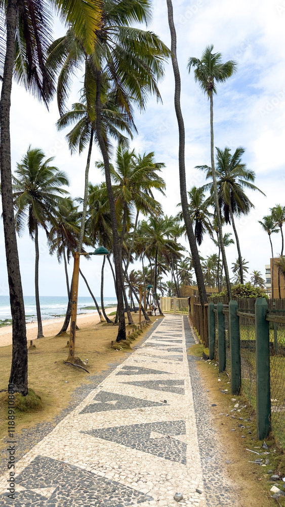 Obraz premium trees on the street