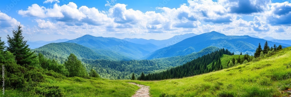Fototapeta premium Mountain Meadow Vista - Serene landscape photography, showcasing a tranquil mountain meadow path, lush green hills, towering blue mountains, and a bright, sunny sky. Symbolism: peace, adventure, natu