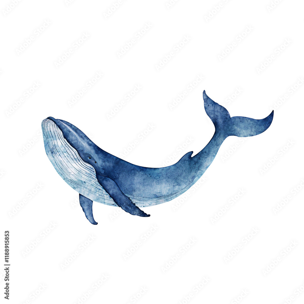 Naklejka premium A Blue Whale Gracefully Gliding Through the Ocean Depths, Transparent Background