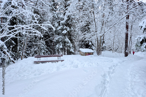 Photography Winter