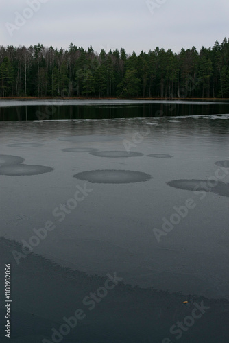 The forest lake is starting to freeze.