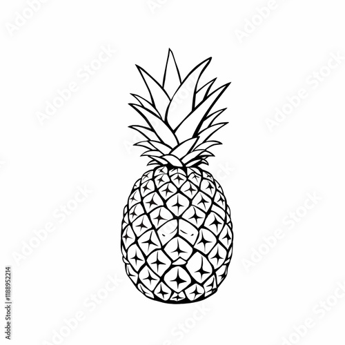 pineapple vector illustration