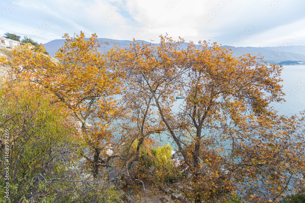 Picturesque autumnal scene with vibrant yellow trees framing the serene waters of a lake. Picturesque autumnal scene with vibrant yellow trees framing the serene waters of a lake.