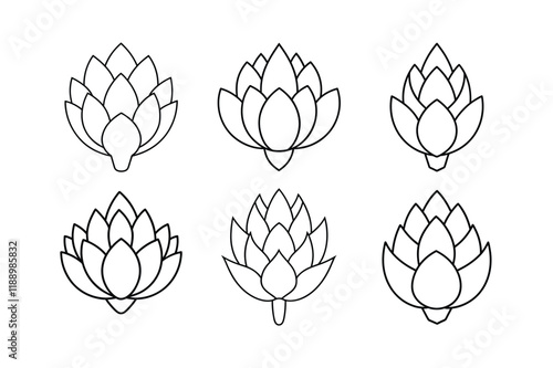 Artichoke (Cynara scolymus) design, labeled line art vector illustration