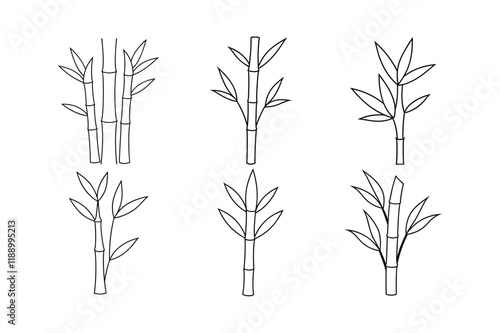 Bamboo Shoots (Bambusa vulgaris) design, labeled line art vector illustration