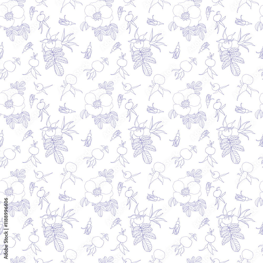 Fototapeta premium Seamless pattern with rosehips. Transparent flowers on white background. Beautiful and delicate flowers.