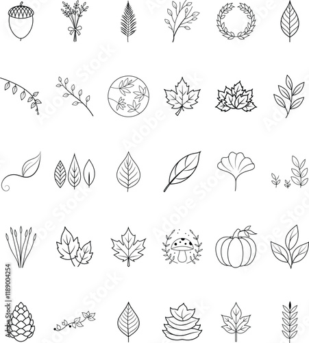 Autumn Leaves, Botanical Line Art, Nature Illustrations, Fall Graphics