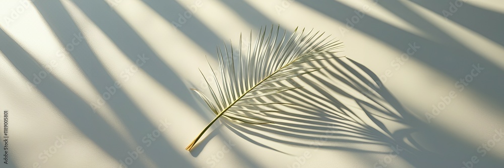 Obraz premium A solitary, delicate palm leaf 