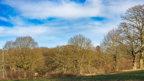 Cold winter but no snow