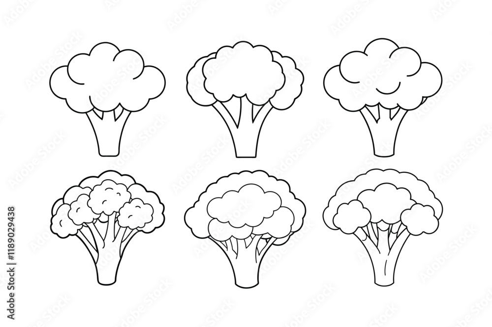 Broccoli (Brassica oleracea var. italica) design, labeled line art vector illustration Broccoli (Brassica oleracea var. italica) design, labeled line art vector illustration