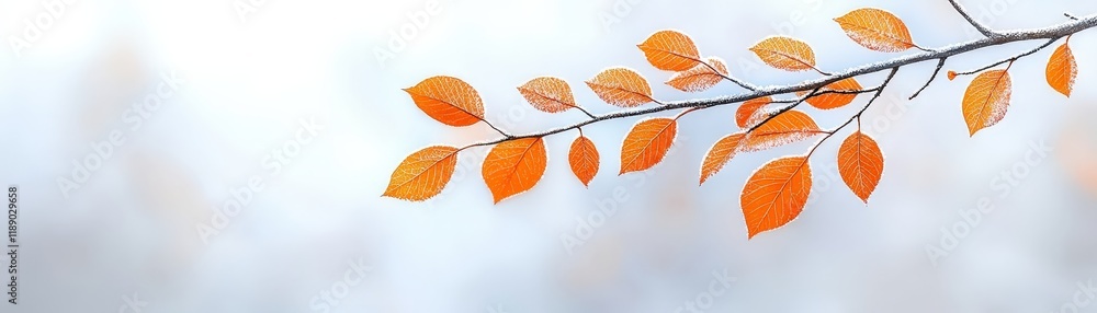 Fototapeta premium Bright Autumn Leaves on a Branch Against a Soft Foggy Background in Nature's Palette