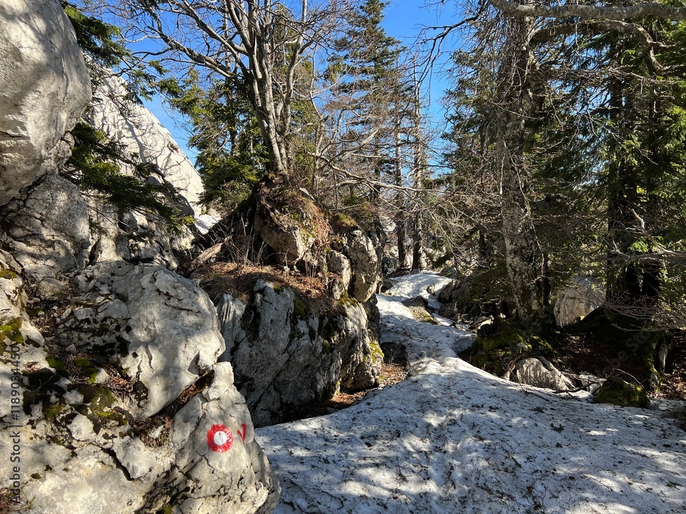 Premuzic hiking trail or Premuzic Trail - Northern Velebit National Park, Croatia or Premuzic-Wanderweg or Premuzic's Trail (Pješački planinarski put Premužićeva staza - NP Sjeverni Velebit, Hrvatska)