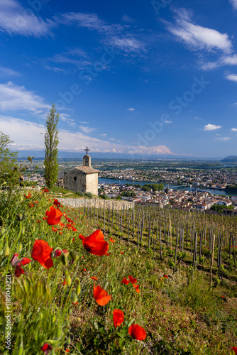 Grand cru vineyard and Chapel of Saint Christopher, Tain l'Hermitage, Rhone-Alpes, France photo