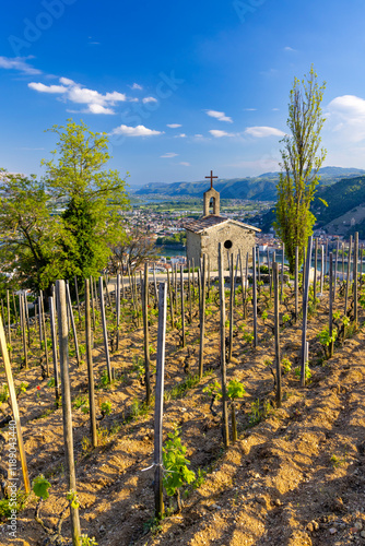 Grand cru vineyard and Chapel of Saint Christopher, Tain l'Hermitage, Rhone-Alpes, France photo