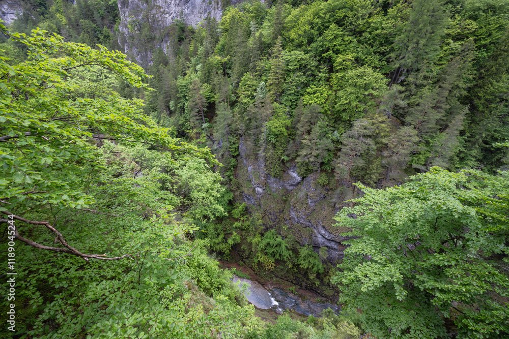 Kvacianska valley in spring time, Chocske vrchy, Slovakia