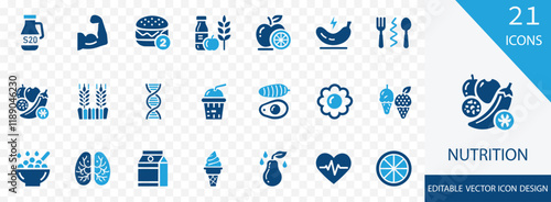  Nutrition solid icon set. containing protein,  meal, nutrient, vegetables, fruits, minerals, antioxidants, digestion and more vector design 