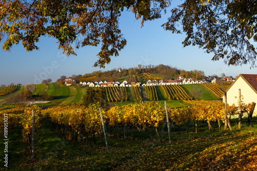 Traditional wine cellars street (kellergasse) in Galgenberg, Lower Austria, Austria photo