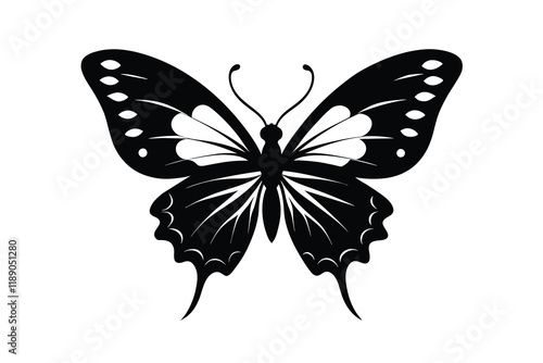 Quadro su tela Vector butterfly black silhouette butterfly D.eps