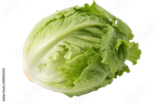 Una lechuga iceberg aislada