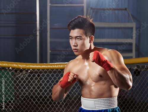 Muay Thai Fighter photo