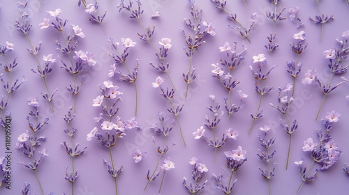 A flat lay of delicate lavender flowers on a soft purple background.