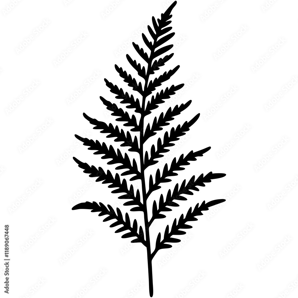 Detailed Vector Line Art Fern Edition Detailed Vector Line Art Fern Edition