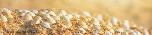 Obraz na płótnie Summer natural background - seashells on the sand on the shore of the sea beach. Horizontal banner w salonie