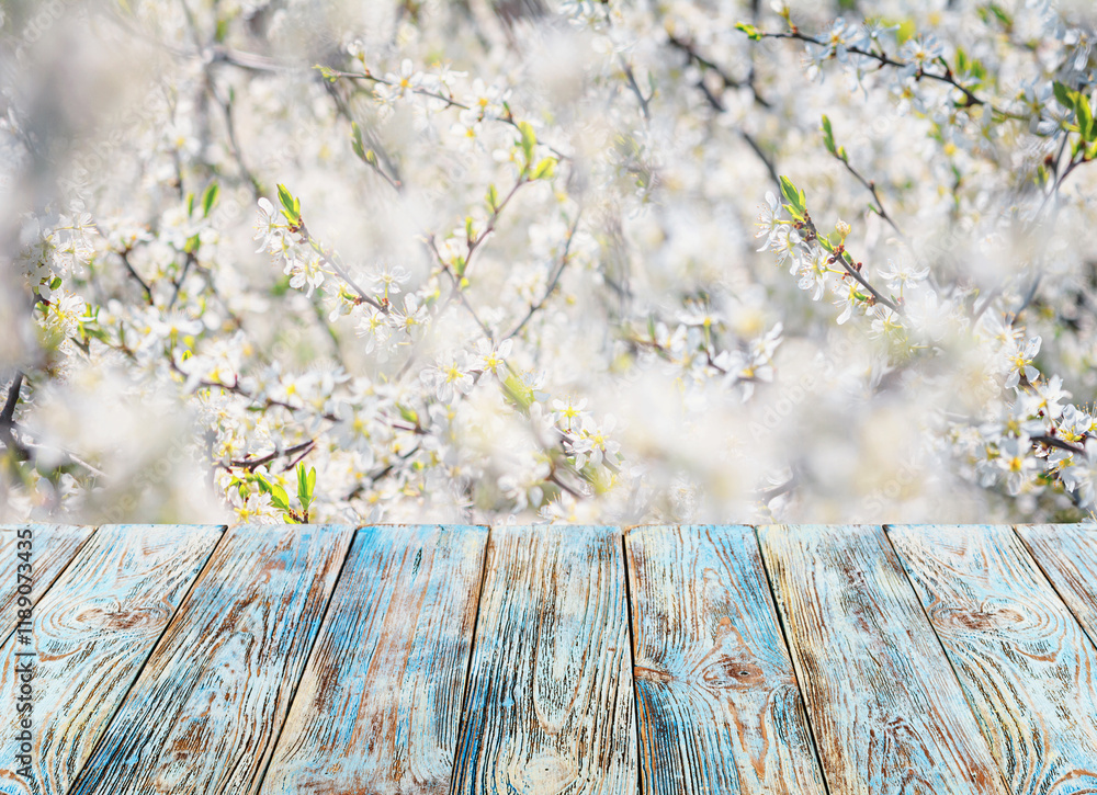 Empty of wood table top against the background of a plum blossom tree branches, selective focus, close up with space for text