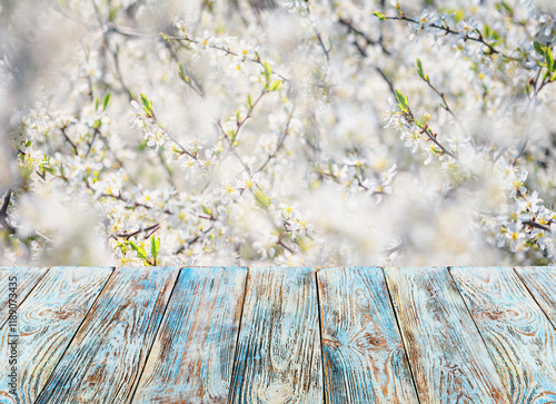 Obraz na płótnie Empty of wood table top against the background of a plum blossom tree branches, selective focus, close up with space for text w salonie