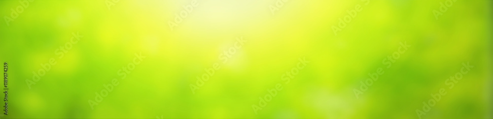 Abstract green blurred natural background, horizontal banner - view of the green foliage in the forest on a sunny day with space for text