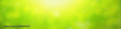 Abstract green blurred natural background, horizontal banner - view of the green foliage in the forest on a sunny day with space for text