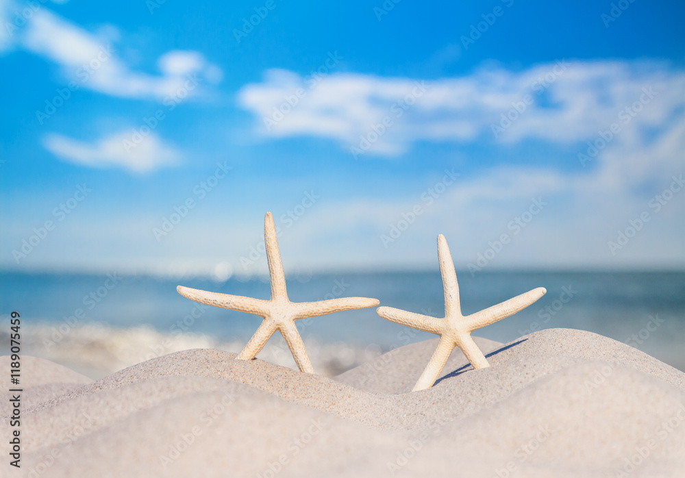 View of a beach with a pair of starfish on the sand under the hot summer sun, selective focus. Concept of sandy beach holiday, background with copy space for text