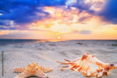 Obraz na płótnie View of a beach with starfish and seashell on the sand at sunset, selective focus. Concept of sandy beach holiday, background with copy space for text w salonie