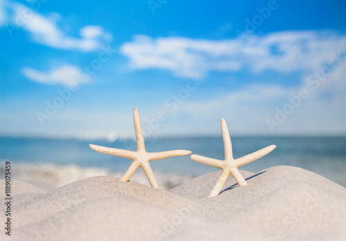 Obraz na płótnie View of a beach with a pair of starfish on the sand under the hot summer sun, selective focus. Concept of sandy beach holiday, background with copy space for text w salonie