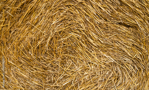 Straw as a natural texture. photo