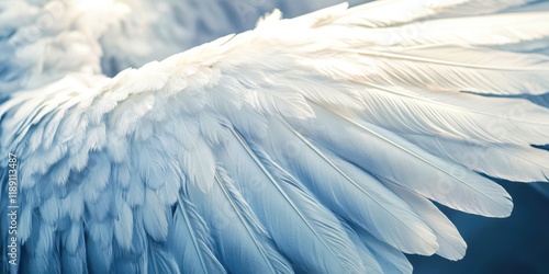 Wallpaper Mural White wing of a bird with many feathers Torontodigital.ca