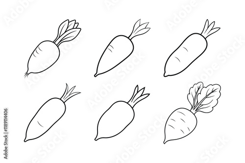 Daikon (Raphanus sativus var. longipinnatus) design, labeled line art vector illustration