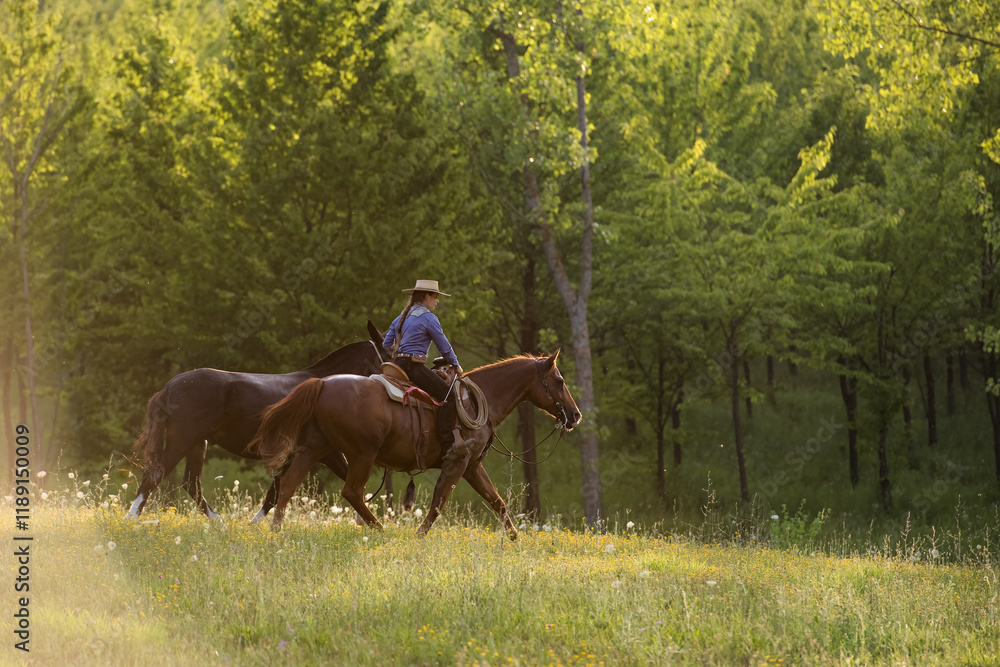 Cowgirl riding her horse and leading a mule on a hill in her ranch Cowgirl riding her horse and leading a mule on a hill in her ranch
