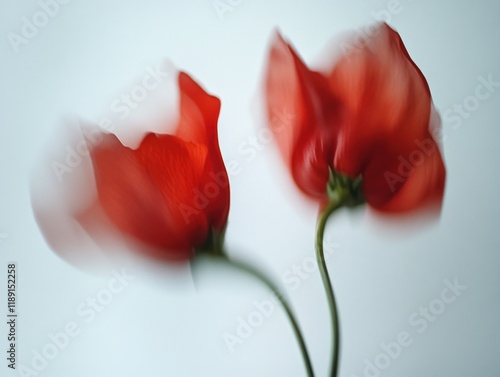 two red flowers in motion with light background