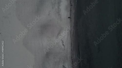 Top aerial view of seashore 