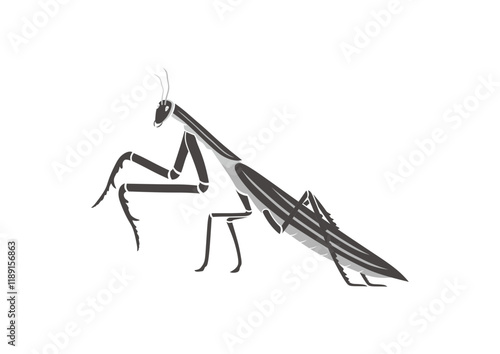 praying mantis,black and white