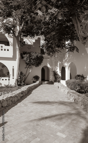 Scenic path to the house in the garden in summer. Black and white 
