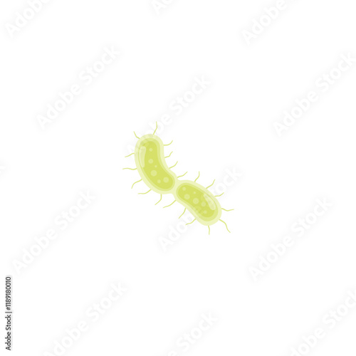 Yersinia Pestis Illustration 