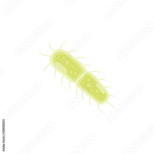 Yersinia Pestis Illustration 