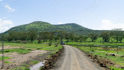 Game drive in the middle of Nairobi national park, Kenya.