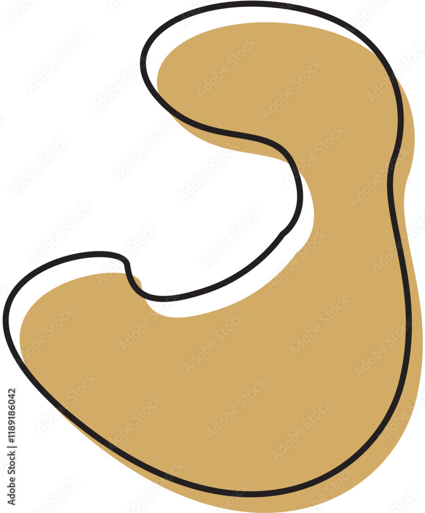 shape elements decoration abstract boho shape elements decoration abstract boho