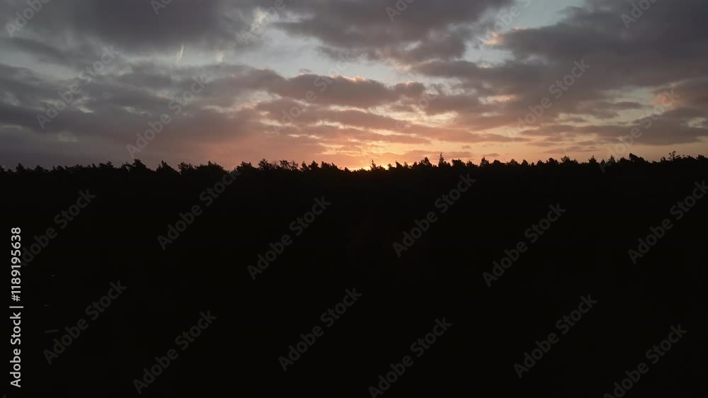 Sunset over the forest reveal Sunset over the forest reveal