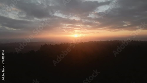 Sunset over the forest 